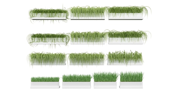 A wall of grass with a white background