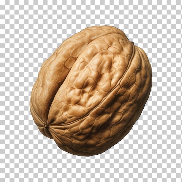 Walnut isolated on transparent background png psd