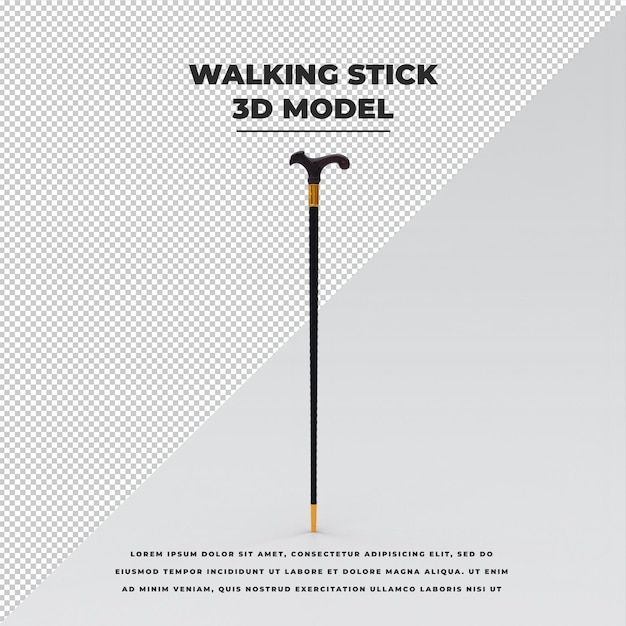 wandelstok