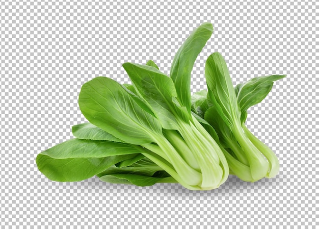 Warzywo Bok choy izolowane na warstwie alfa