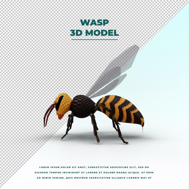 PSD wasp isolated