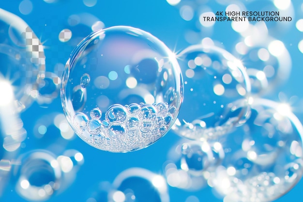 Water bubbles realistic soap bubbles shampoo foam on transparent background