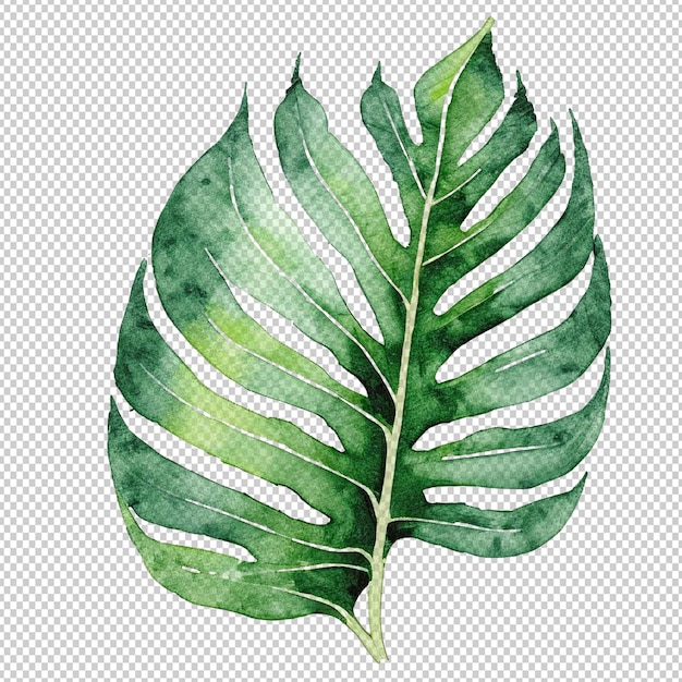 PSD water color leaf on alpha layer