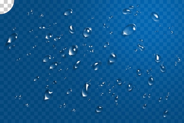 Water drops on transparent background