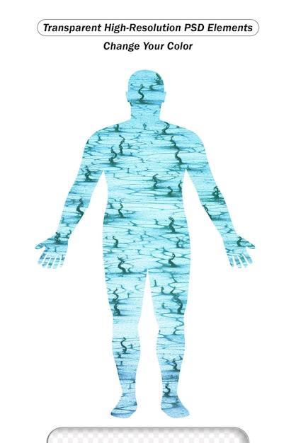 PSD water in human body with percentage flat vector illustration