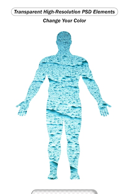 Water in human body with percentage flat vector illustration