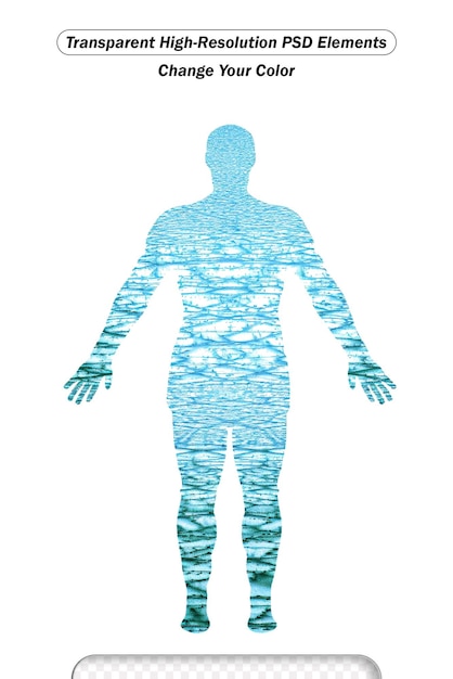 PSD water in human body with percentage flat vector illustration