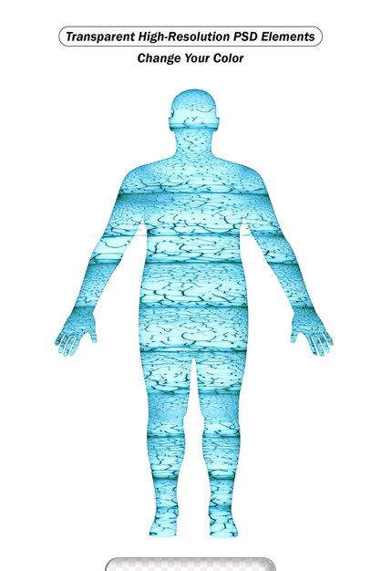 PSD water in human body with percentage flat vector illustration