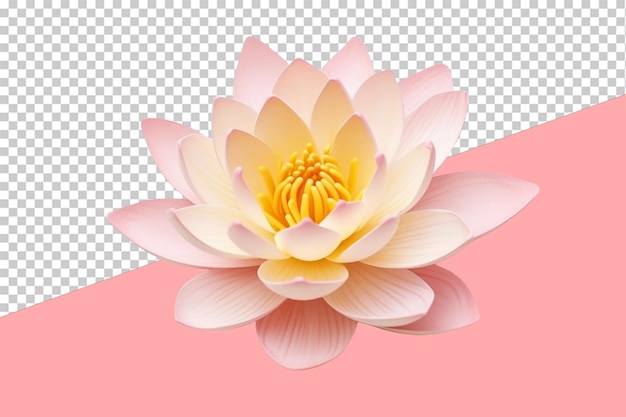 Water lily isolated object transparent background