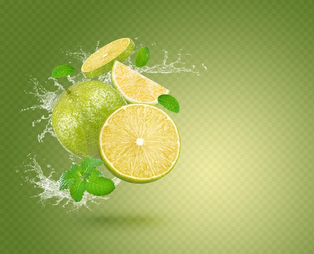 PSD water splash on fresh lemon mint isolated