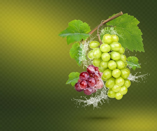 Water splash on fresh grape with leaves isolated on green background Premium PSD