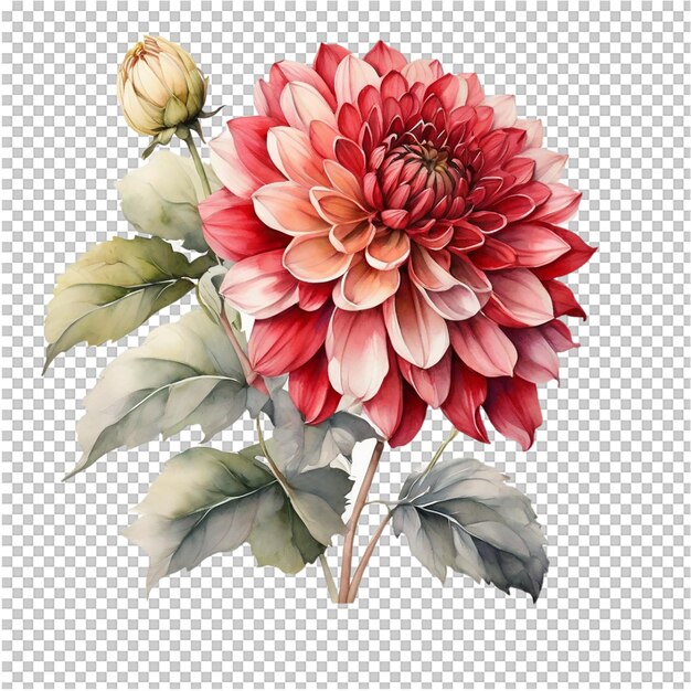 PSD watercolor bouquet