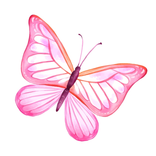 PSD watercolor butterfly  illustration