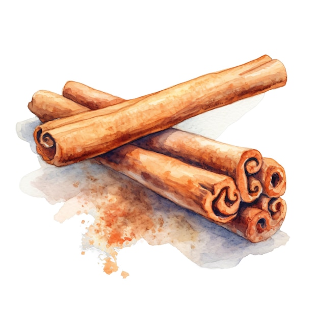 PSD watercolor cinnamon sticks art