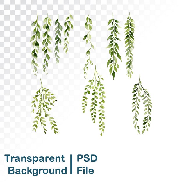 PSD hd 품질의 다양한 잎 요소의 수채화 컬렉션