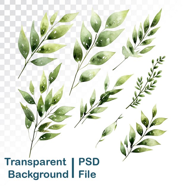 PSD watercolor collection of various leaf elements in hd quality