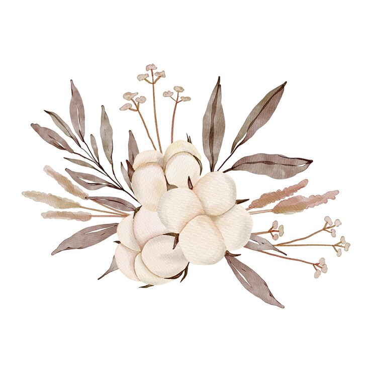PSD watercolor cotton flower arrangement