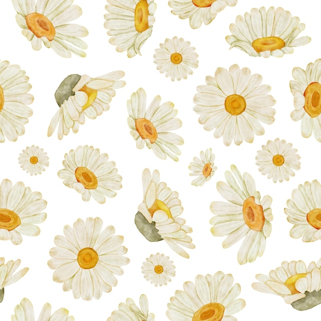 PSD watercolor daisy floral seamless pattern