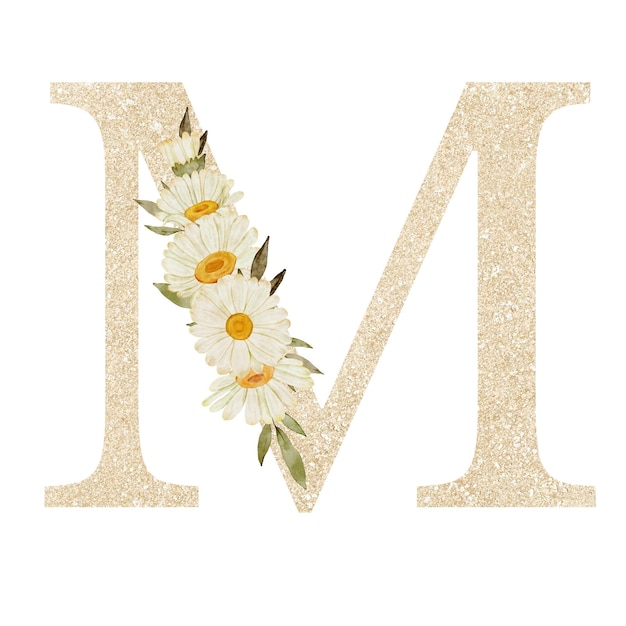 PSD watercolor daisy flower alphabet m