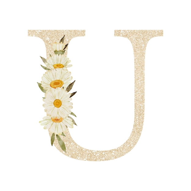 PSD alfabeto del fiore della margherita dell'acquerello u