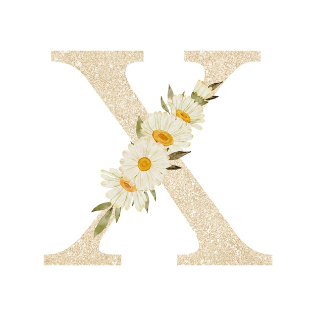 PSD alfabeto del fiore della margherita dell'acquerello x
