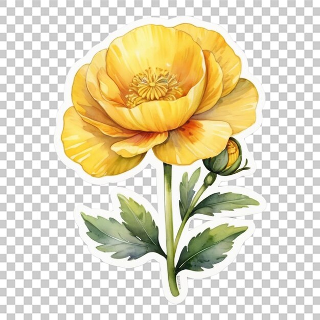 Watercolor different flower sticker design transparent background