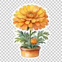 PSD watercolor different flower sticker design transparent background