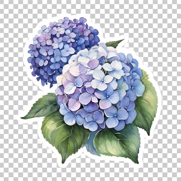 PSD watercolor different flower sticker design transparent background