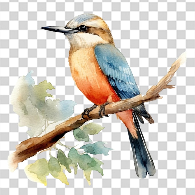 PSD watercolor drawing of a beautiful bird on a tree branch png transparent