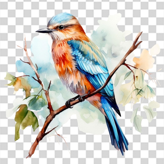 Disegno ad acquerello di un bellissimo uccello su un ramo d'albero png trasparente