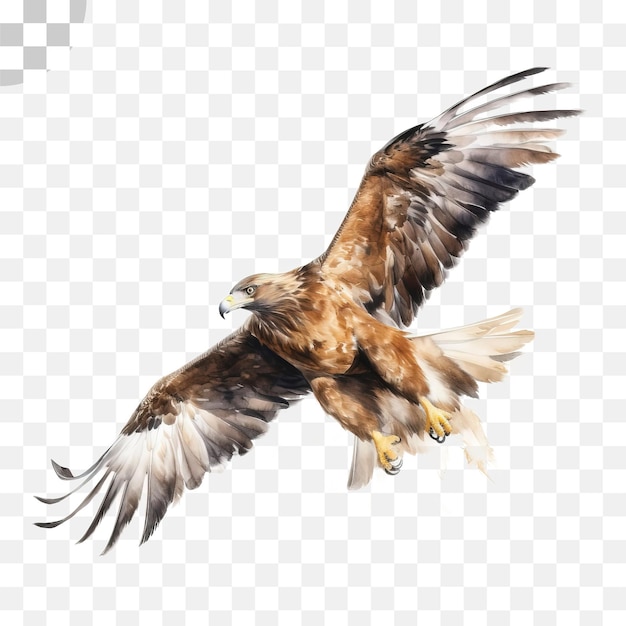 PSD watercolor eagle on transparent background