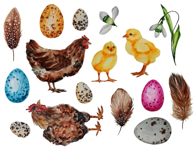 PSD watercolor easter chicken stickers set