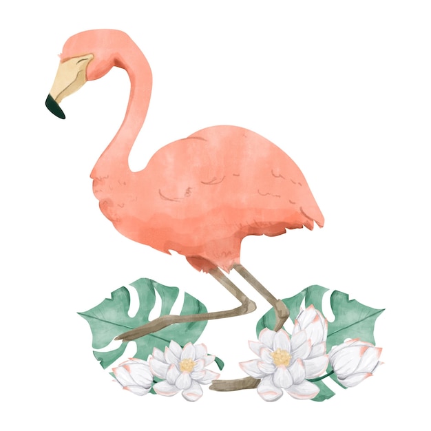 Watercolor Flamingo with Lotus Flowers Monstera Leaves Composition Illustration Digital for Print