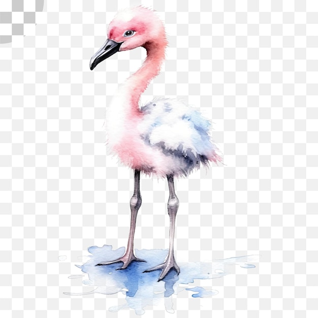 PSD watercolor flamingo