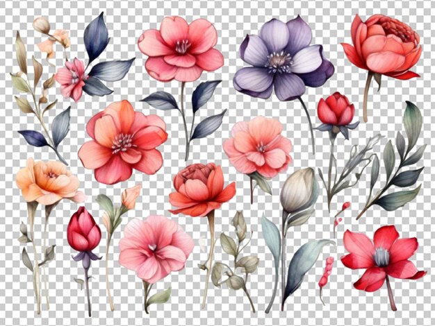 PSD watercolor floral arrangement png