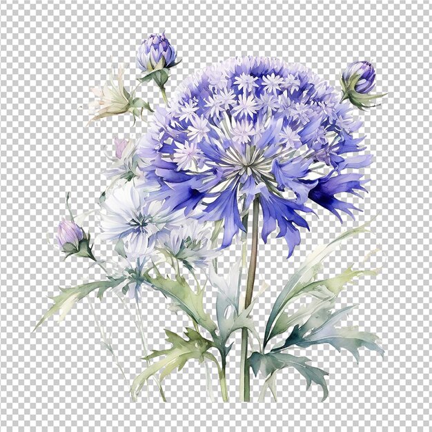 PSD disegno di bouquet di fiori ad acquerello