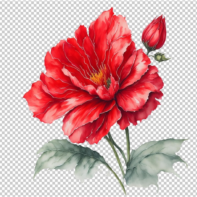 Watercolor Flower