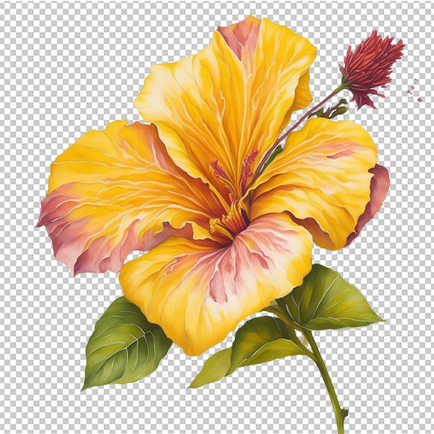 Watercolor Flower