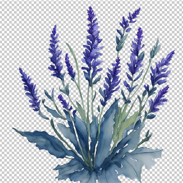 PSD watercolor flower