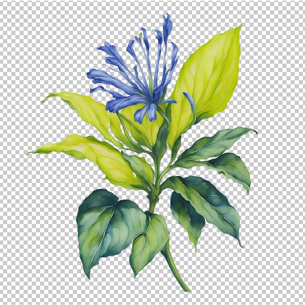 PSD watercolor flower