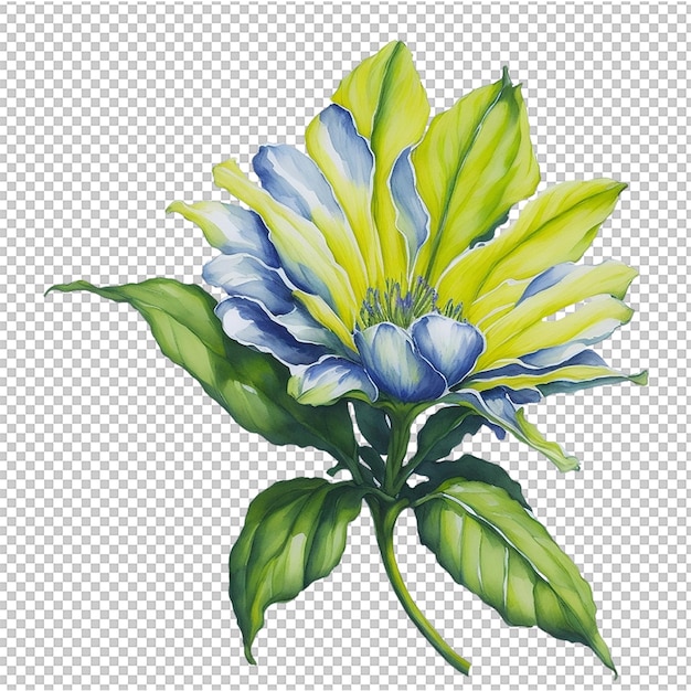 PSD watercolor flower