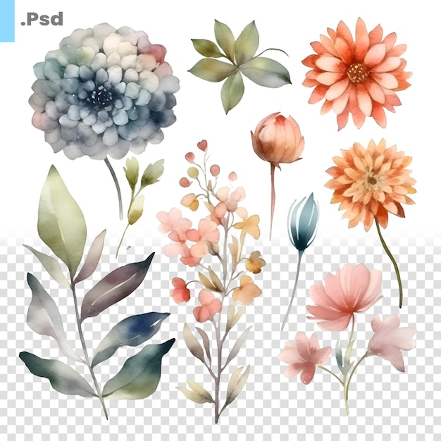 PSD watercolor flowers set hand painted floral elements isolated on white background psd template