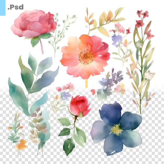 PSD アクアカラーの花のセット 白い背景のpsdテンプレートに隔離された手描きのイラスト