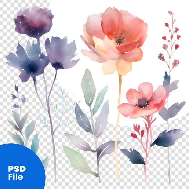 PSD アクアカラーの花のセット 白い背景のpsdテンプレートに隔離された手描きのイラスト