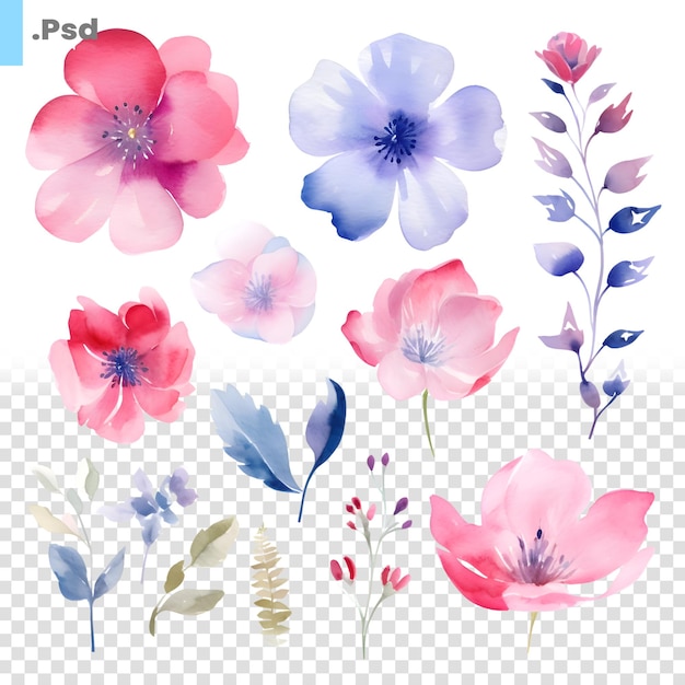 PSD 水彩の花のセット。手描きの白い背景で隔離のイラスト。 psdテンプレート