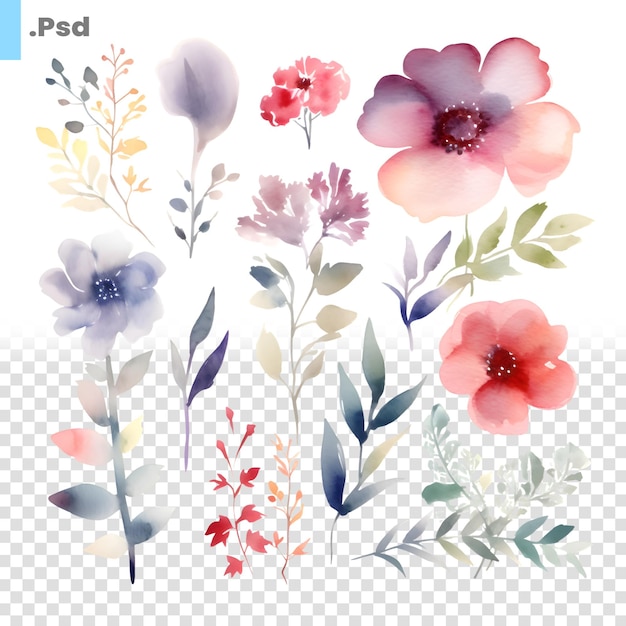 PSD 水彩花セット白い背景に分離された手描きのイラスト psd テンプレート