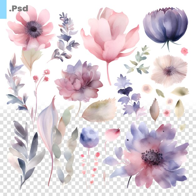 PSD set di fiori ad acquerello illustrazione dipinta a mano isolata su sfondo bianco modello psd