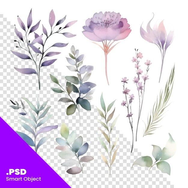 Set di fiori ad acquerello illustrazione dipinta a mano isolata su sfondo bianco modello psd