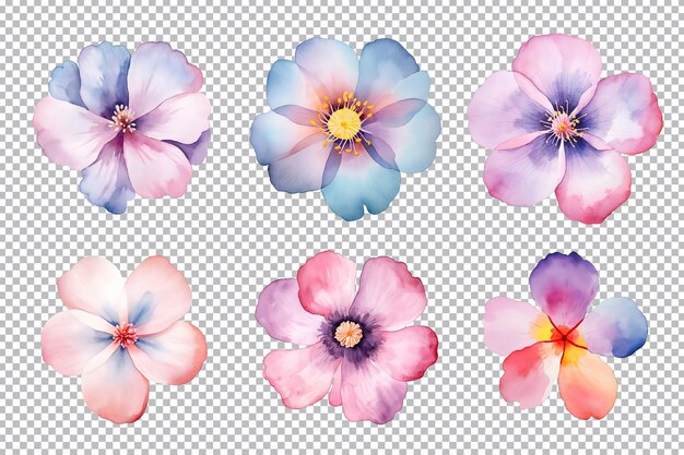 PSD watercolor flowers set handpainted flower illustrations bundle isolated on transparent background
