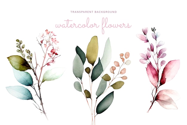 PSD watercolor flowers on a white background